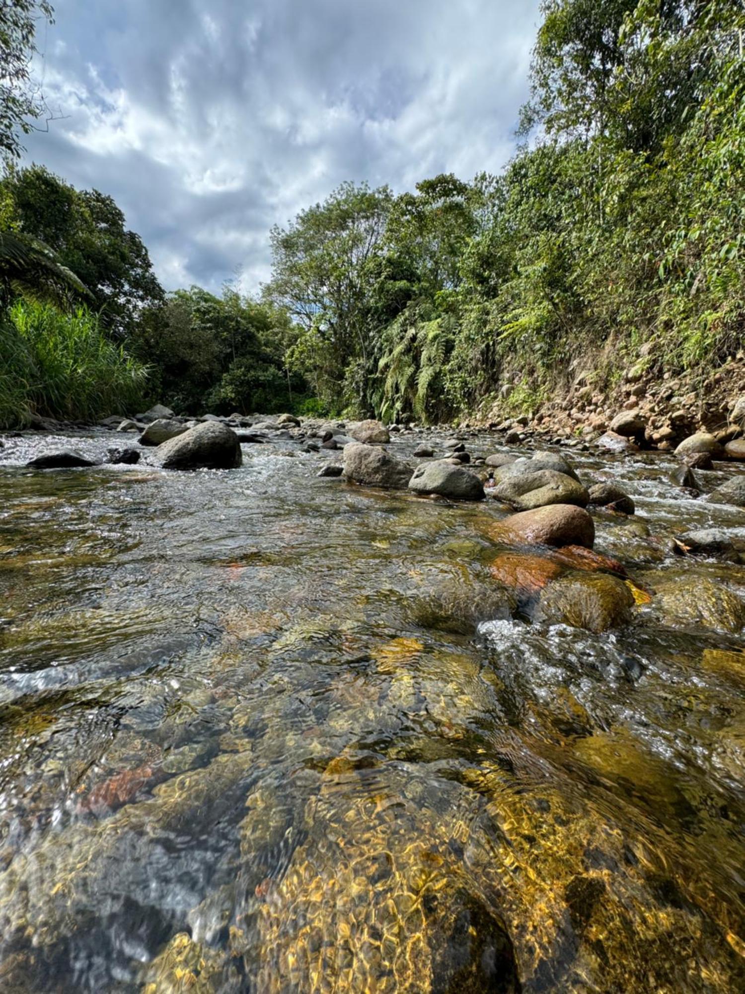 Ilusion La Florida Pereira